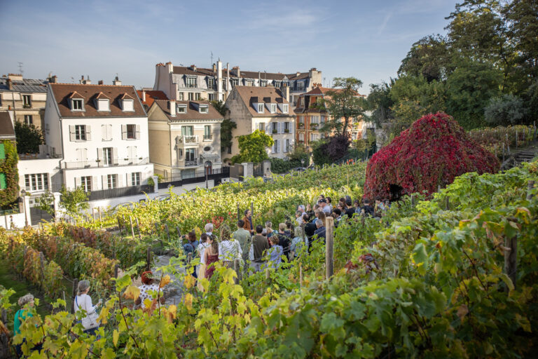 Les Visites des vignes